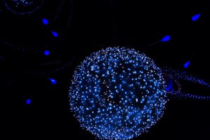 fertilization-by-soulfish.jpg