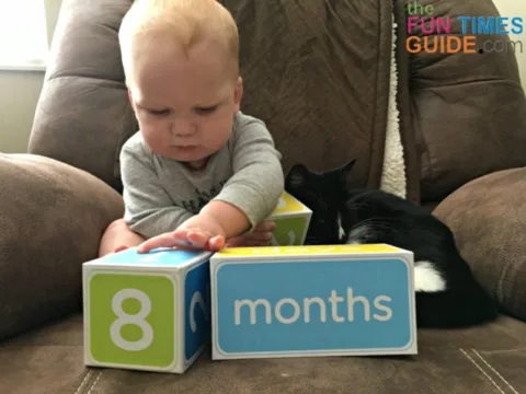 baby age blocks are great for photographing milestones