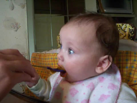 A sweet little baby eating mama's homemade baby food. 