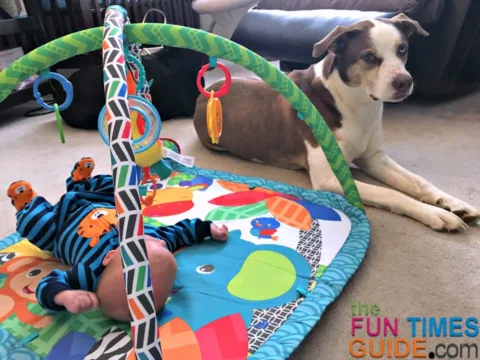 baby play mat activity center - on my top baby things list