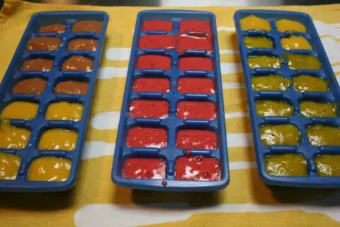 Homemade baby food in ice cube trays for freezing. 