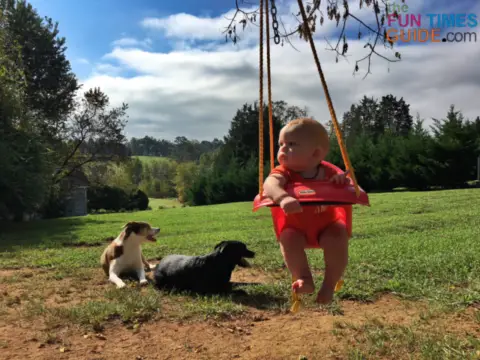 a secure baby swing is a must for every new mom