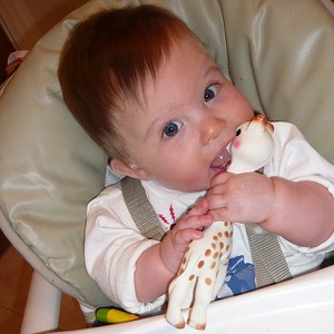 sophie giraffe teething toy - one of the most popular gifts for new parents