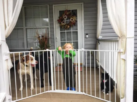 We use baby gates both inside and outside of our house to keep our toddler safe.